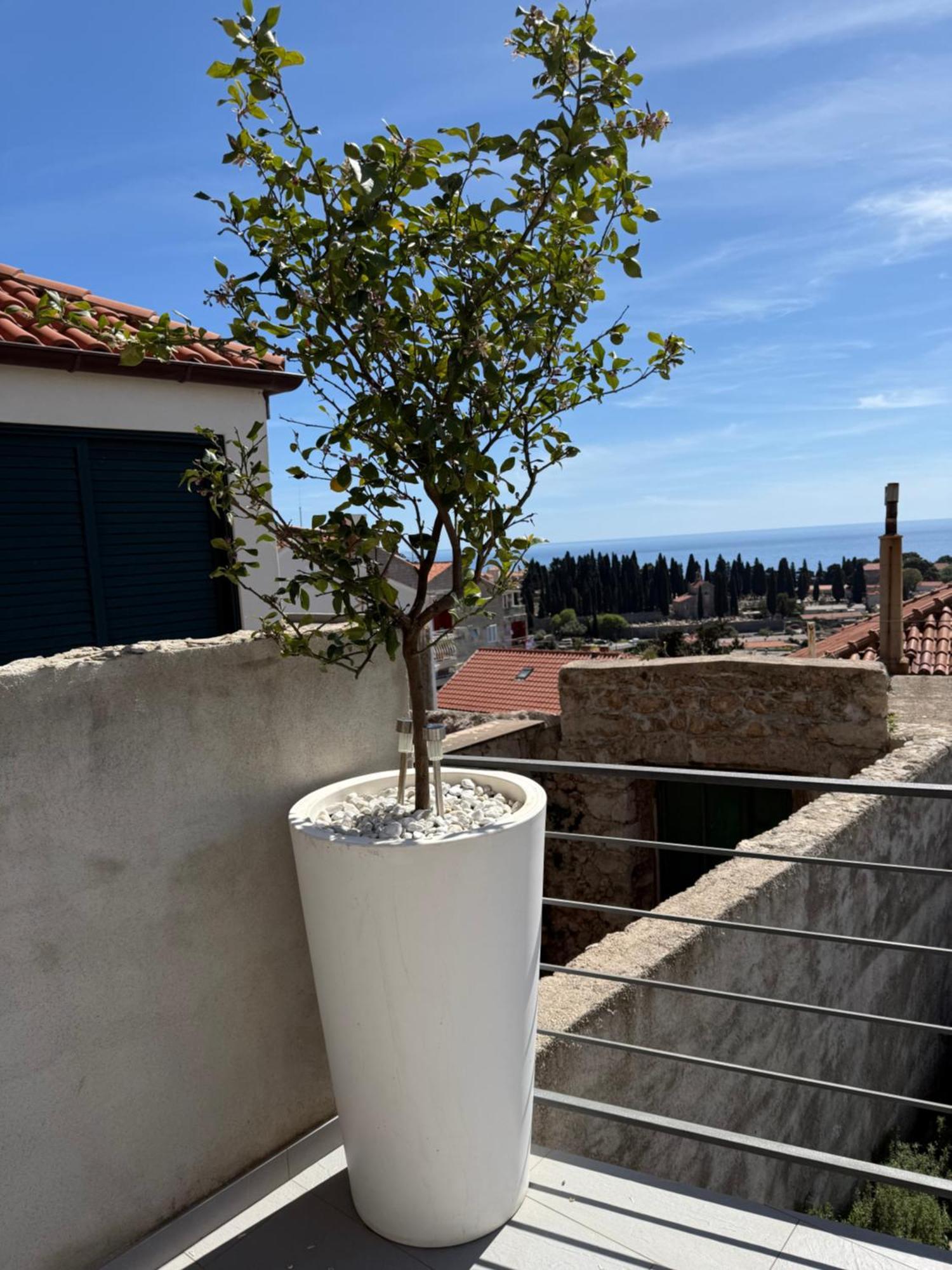 Lemon Tree Dubrovnik Apartments Экстерьер фото